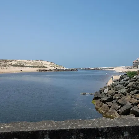 Marin